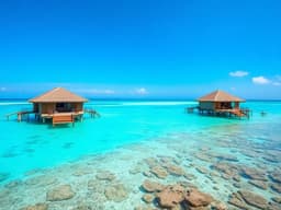 Honeymoon