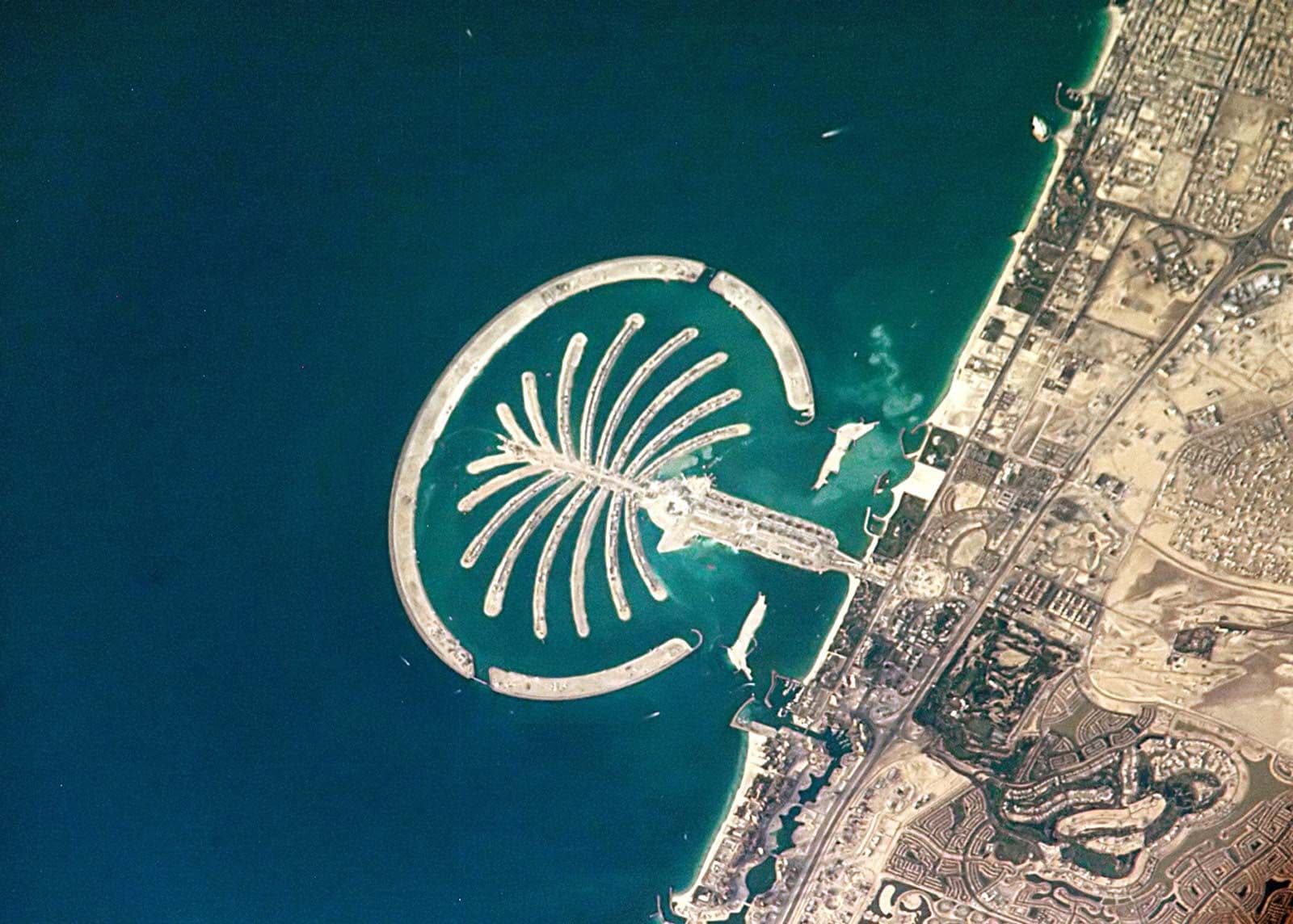 Package image 4