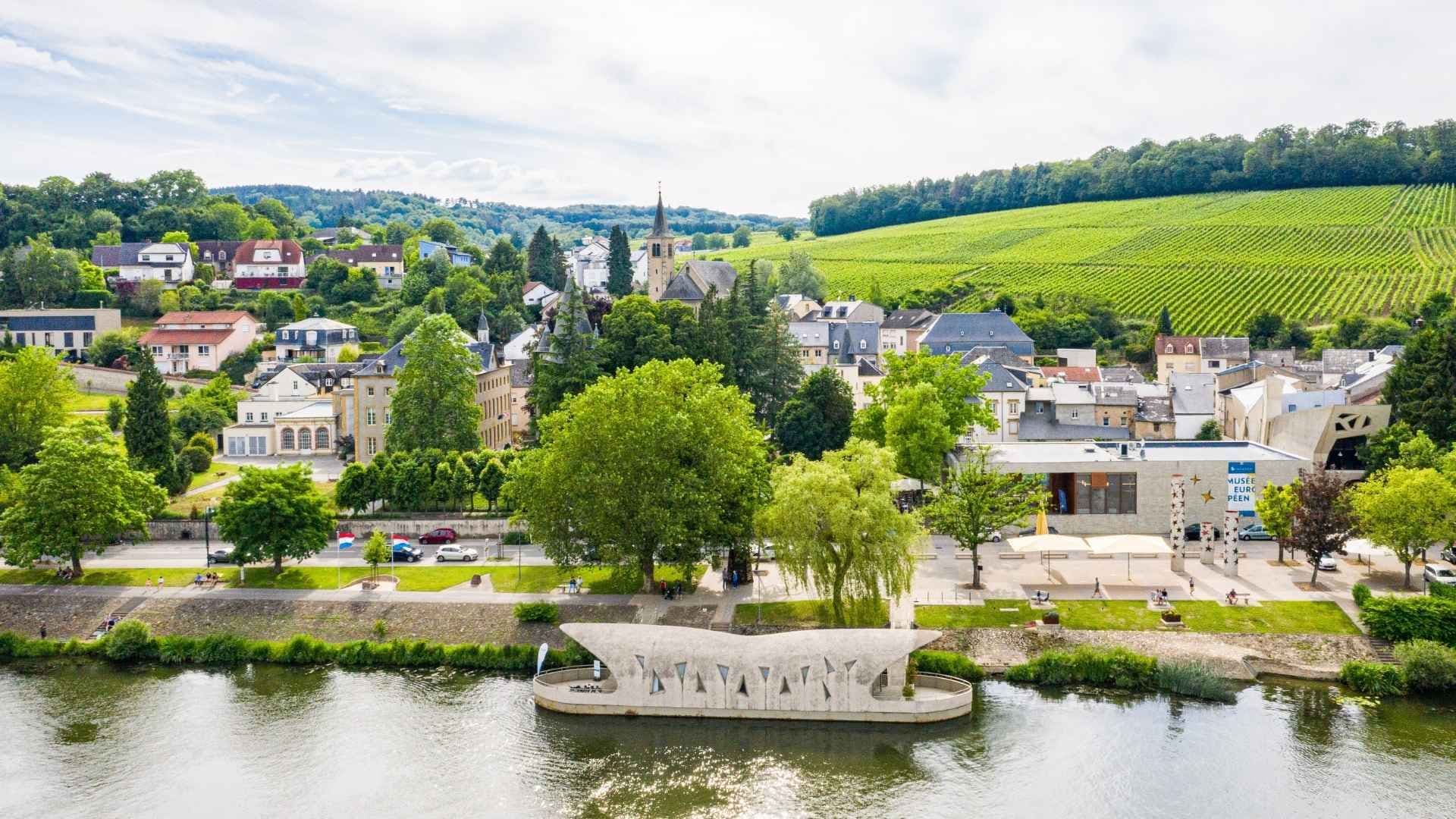 Traveler reviewing travel insurance documents